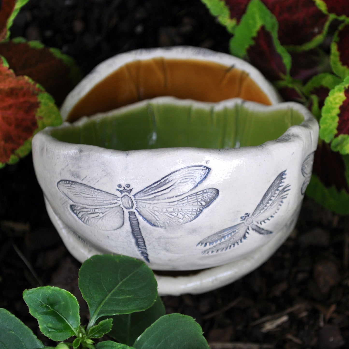 Handmade Pottery, dragonfly dish, fresh green, Dragonflies, USA