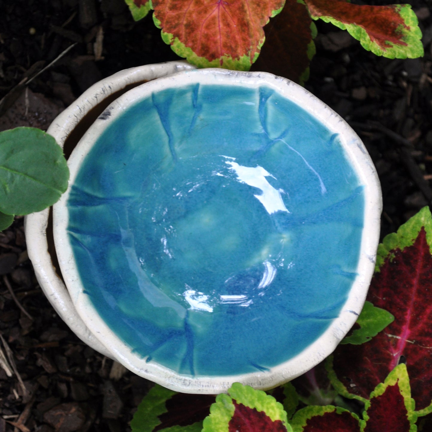 Handmade Pottery, dragonfly dish, clear glazed- no color inside, Dragonflies, USA