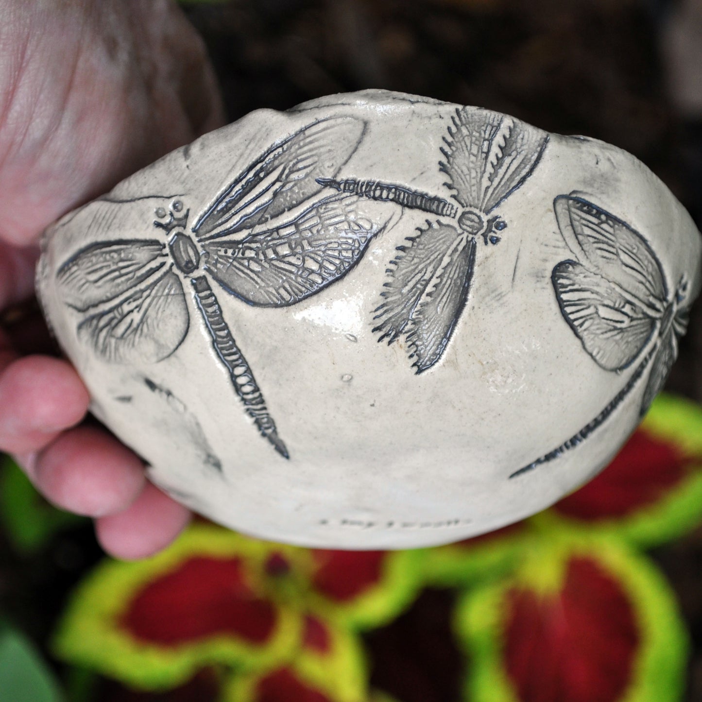 Handmade Pottery, dragonfly dish, clear glazed- no color inside, Dragonflies, USA