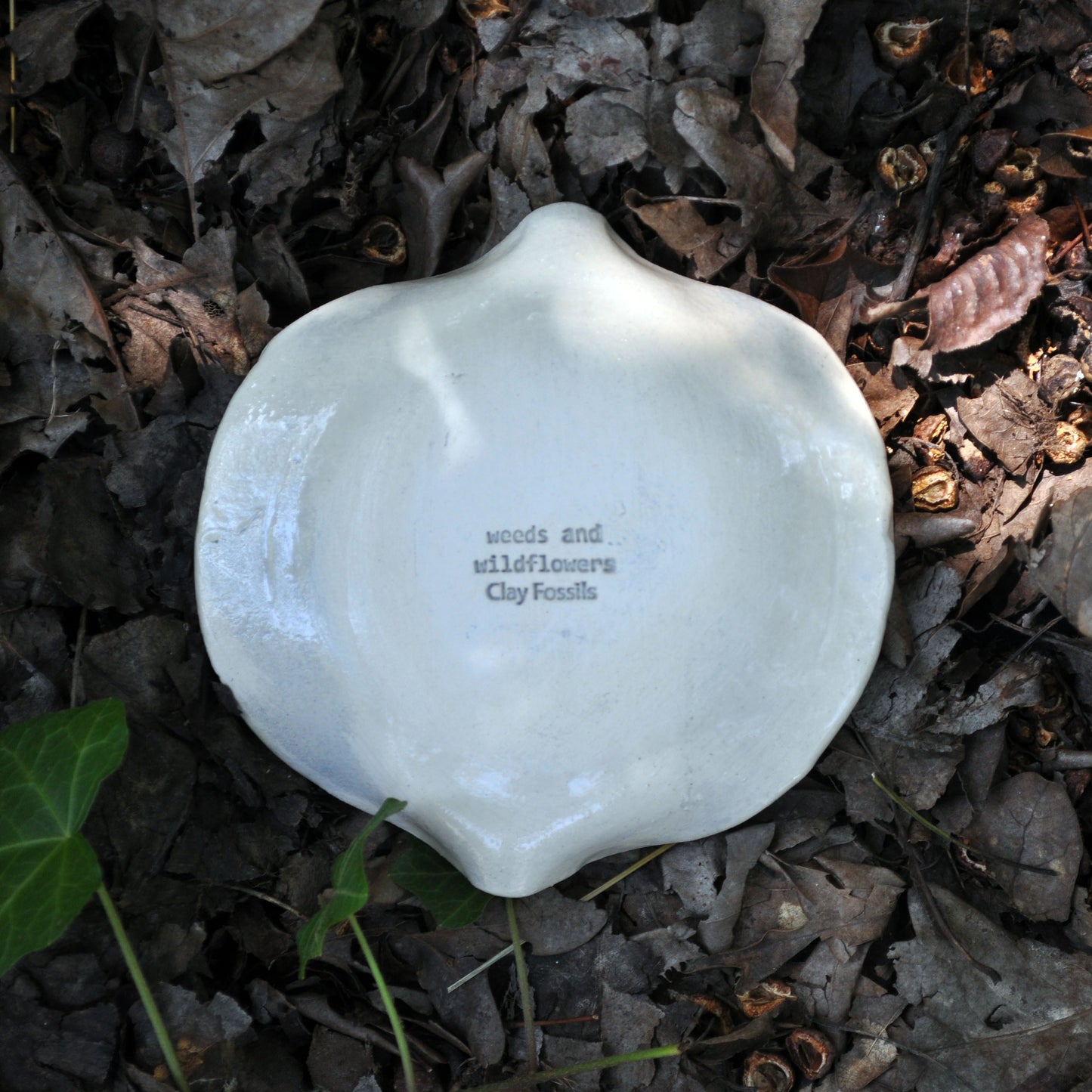 SRSD304 spoon rest, soap dish, weeds and wildflowers in blue back.jpg